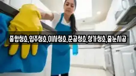 입주청소 전남 항동 4곳, 연락처 보기