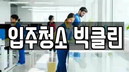 입주청소 빅클린