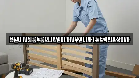 용달이사원룸투룸오피스텔이사사무실이사1톤트럭반포장이사