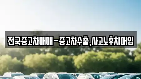 중고차 선택 가능한 7곳 (중구 서문로2가)