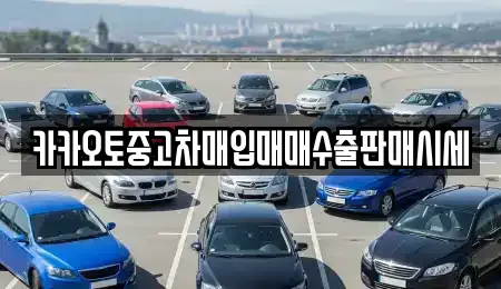 카카오토중고차매입매매수출판매시세