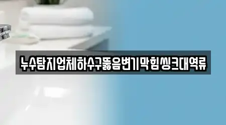 누수탐지업체하수구뚫음변기막힘씽크대역류