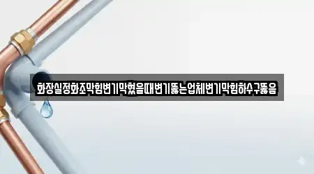 화장실정화조막힘변기막혔을때변기뚫는업체변기막힘하수구뚫음