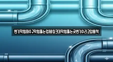 변기막힘하수구막힘뚫는업체싱크대막힘뚫는곳변기수리고압세척