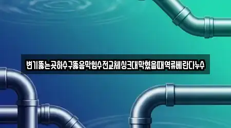 변기뚫는곳하수구뚫음막힘수전교체싱크대막혔을때역류베란다누수