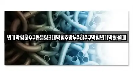 변기막힘하수구뚫음싱크대막힘주방누수하수구막힘변기막혔을때