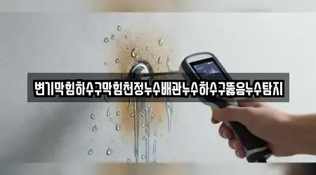 변기막힘하수구막힘천정누수배관누수하수구뚫음누수탐지