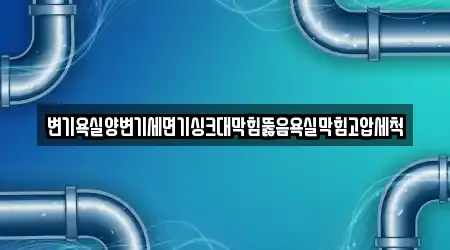변기욕실양변기세면기싱크대막힘뚫음욕실막힘고압세척