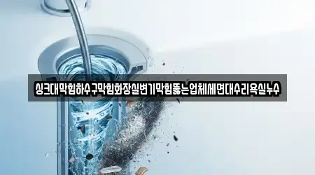 싱크대막힘하수구막힘화장실변기막힘뚫는업체세면대수리욕실누수