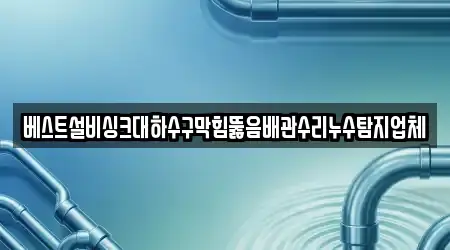 싱크대뚫음,하수구막힘,변기막힘,변기뚫음,누수탐지 충청북도 흥덕구 14곳, 탐색하기