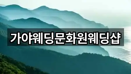 전라남도 광양시 광영동 웨딩드레스 지역별 1곳