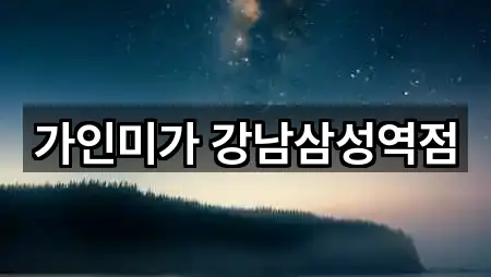 가인미가 강남삼성역점