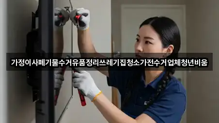 가정이사폐기물수거유품정리쓰레기집청소가전수거업체청년비움