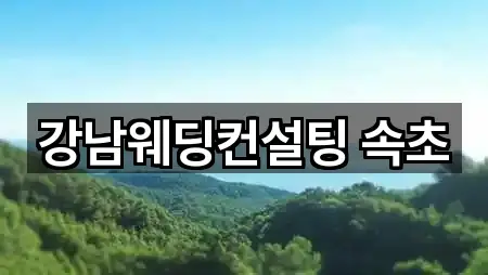 지금 주변의 속초시 청호동 웨딩컨설팅 1곳