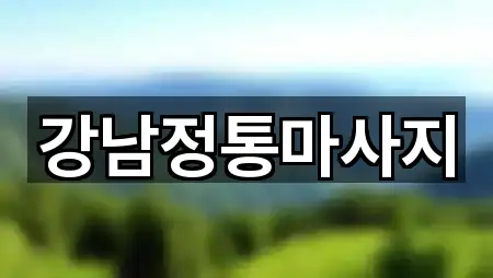 강남정통마사지