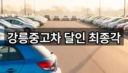 강릉중고차 달인 최종각