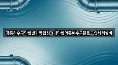 강릉하수구막힘변기막힘싱크대막힘역류배수구뚫음고압세척설비