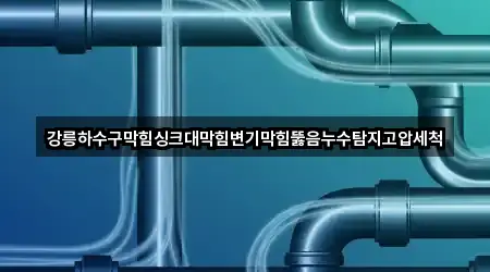 강릉하수구막힘싱크대막힘변기막힘뚫음누수탐지고압세척