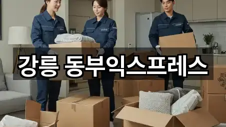 강릉 동부익스프레스