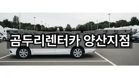 실시간 업데이트: 경남 양산 동면 렌트카 5곳