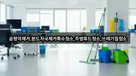 구글지도 | 양평군 개군면 청소업체 5곳