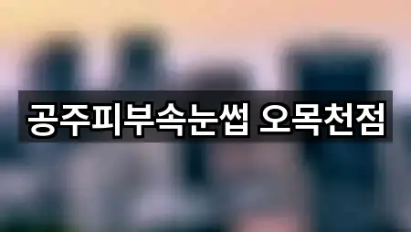 공주피부속눈썹 오목천점