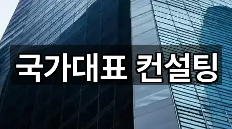 국가대표 컨설팅