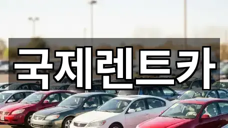 국제렌트카