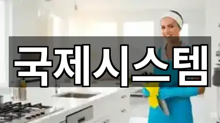 노원동1가 청소 오늘의 추천 5곳