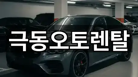 근처 추천: 포항시 남빈동 렌트카 5곳