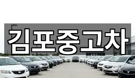 김포중고차