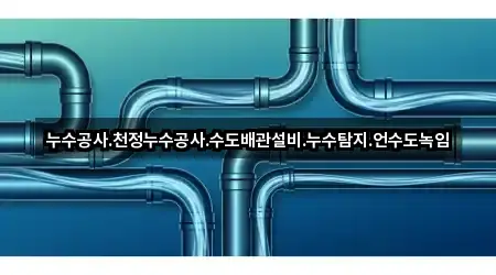 브리핑 | 경기 파주시 광탄면 누수 탐지 5곳