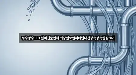 18 TOP 누수,하수구막힘,변기막힘,싱크대뚫음,누수탐지 경기도 의왕시 왕곡동 안내