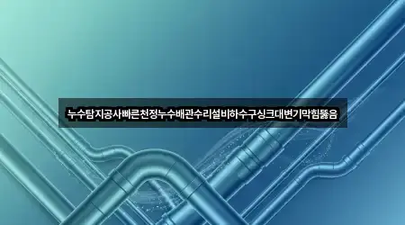 누수탐지공사빠른천정누수배관수리설비하수구싱크대변기막힘뚫음