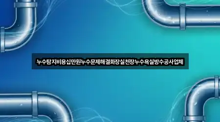 누수탐지비용십만원누수문제해결화장실천장누수욕실방수공사업체