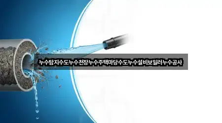 누수탐지수도누수천장누수주택마당수도누수설비보일러누수공사