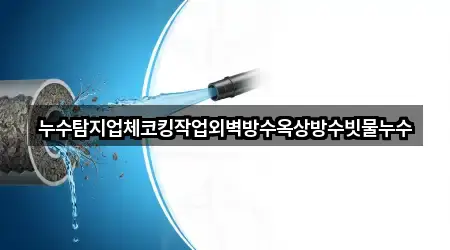 유록동 누수탐지,하수구뚫음,싱크대뚫음,변기뚫음,싱크대막힘 12곳 모아보기