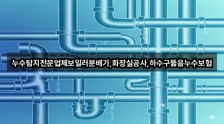 누수탐지전문업체보일러분배기,화장실공사,하수구뚫음누수보험