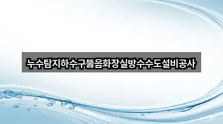 누수탐지하수구뚫음화장실방수수도설비공사