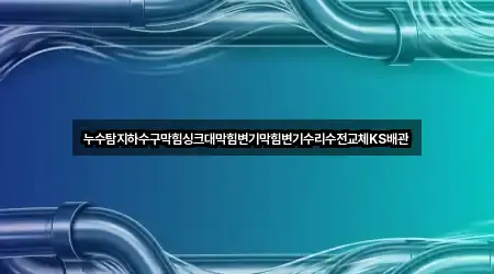 누수탐지하수구막힘싱크대막힘변기막힘변기수리수전교체KS배관