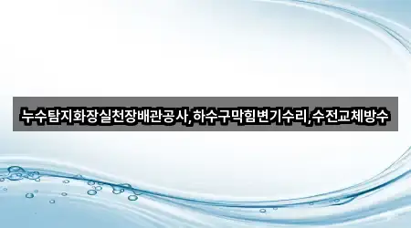 누수탐지화장실천장배관공사,하수구막힘변기수리,수전교체방수