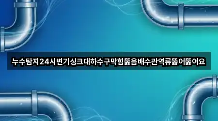 누수탐지24시변기싱크대하수구막힘뚫음배수관역류뚫어뚫어요