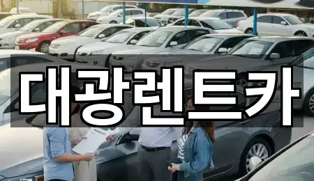 광주 신안동 장기렌트카 위치 체크 5곳