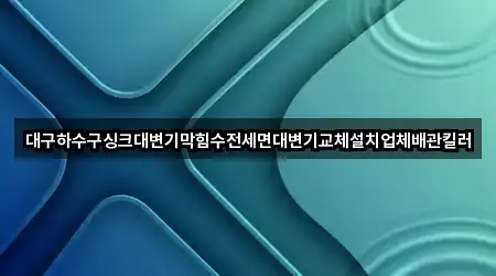 대구하수구싱크대변기막힘수전세면대변기교체설치업체배관킬러