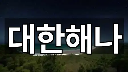 대한해나