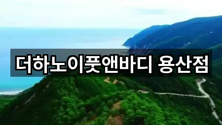 더하노이풋앤바디 용산점