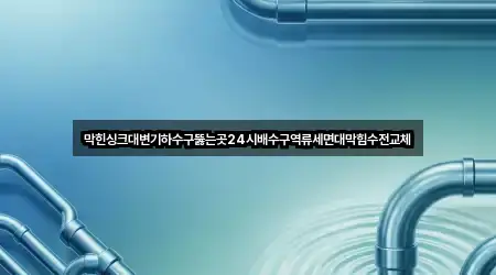 막힌싱크대변기하수구뚫는곳24시배수구역류세면대막힘수전교체