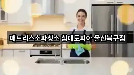 매트리스소파청소 침대토피아 울산북구점