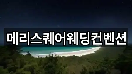 메리스퀘어웨딩컨벤션