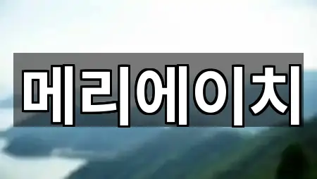 메리에이치